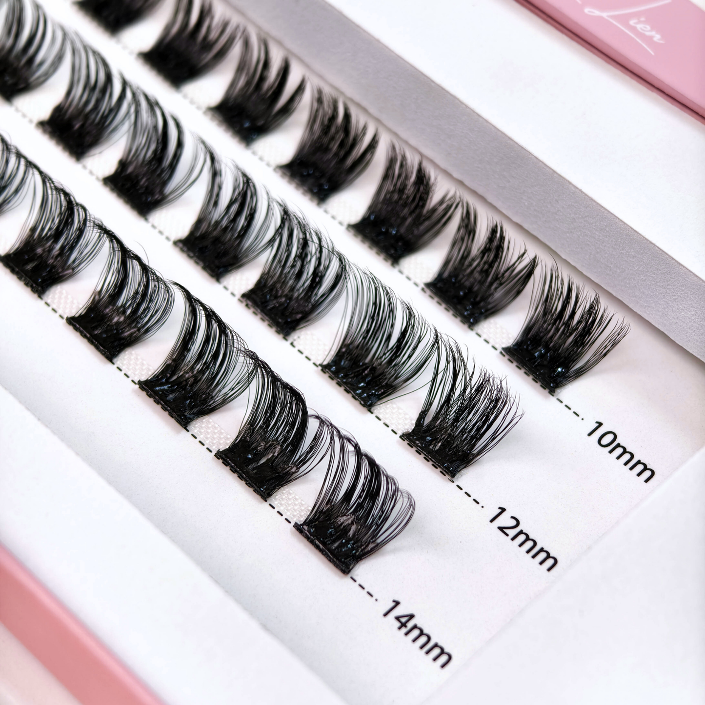 Glueless lashes