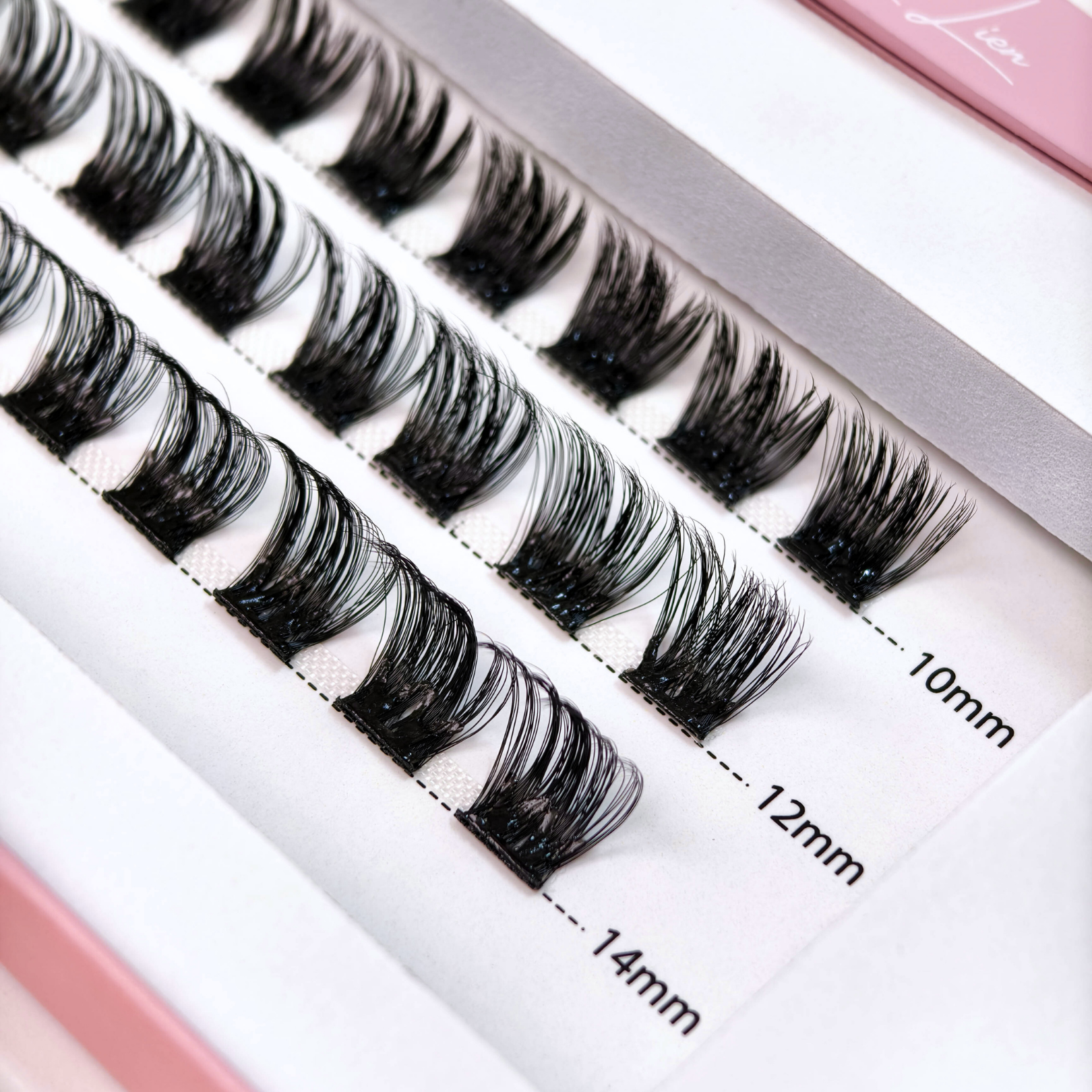 Glueless lashes